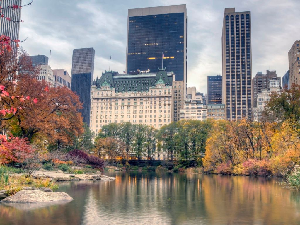 View of Central Park with Plaza Hotel 